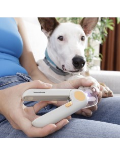 Coupe-griffes avec LED pour Animaux de Compagnie Clipet InnovaGoods