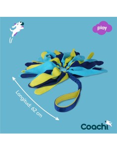 Jouet d'entraînement Coachi TUGGI SPIDER Bleu 2