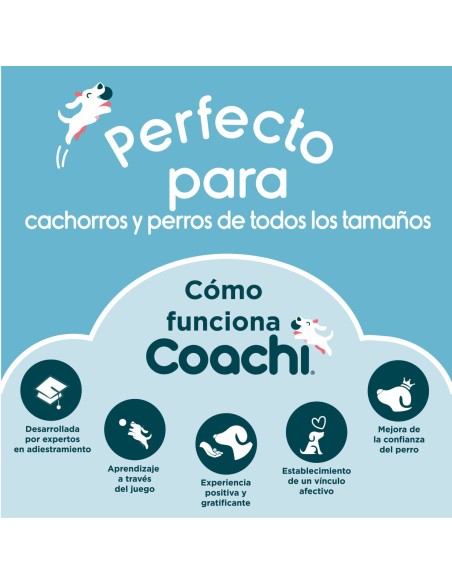 Jouet d'entraînement Coachi Bleu