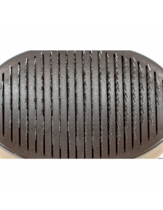 Brosse Gloria Plastique 2