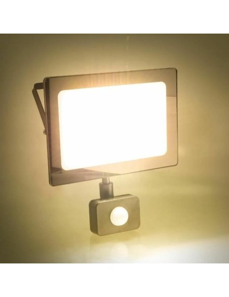 Projecteur LED RETLUX RSL 247