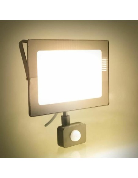 Projecteur LED RETLUX RSL 248