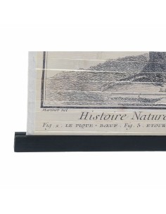 Toile DKD Home Decor Oiseaux 60 x 2 x 90 cm Cottage (4 Pièces) 2