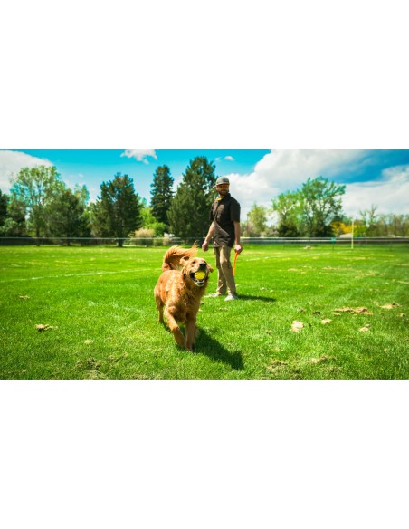 Lanceur de Balles pour Chiens Hunter