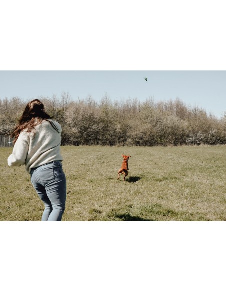 Jouet pour chien Hunter