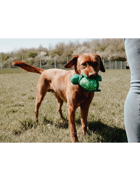 Jouet pour chien Hunter