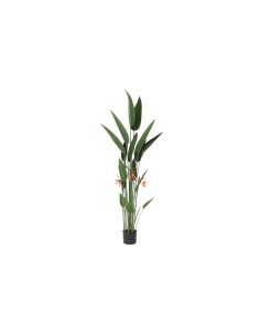 Plante décorative DKD Home Decor 75 x 75 x 180 cm Orange Vert Jaune polypropylène Oiseaux de paradis