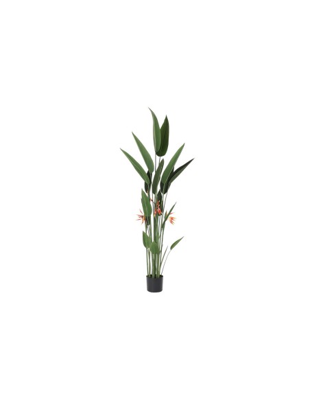 Plante décorative DKD Home Decor 75 x 75 x 180 cm Orange Vert Jaune polypropylène Oiseaux de paradis