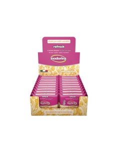 Lingettes humides pour animaux domestiques Inodorina Refresh 24 Unités