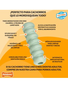 Jouet pour chien Nylabone SENSORY TACTILE STICK Vert Beurre de cacahuètes Bacon S 2