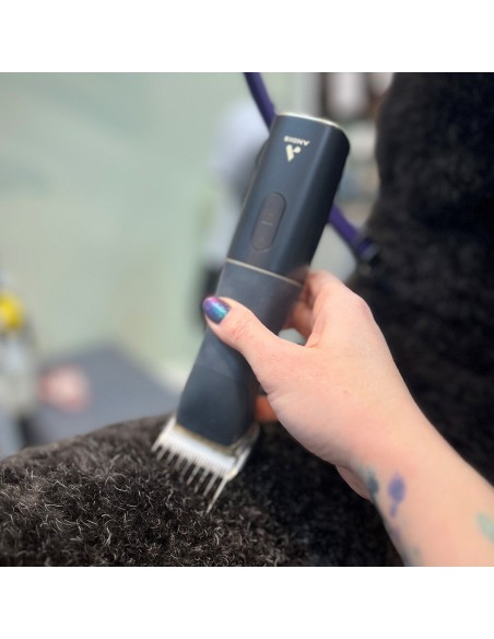 Tondeuse pour animaux de compagnie Andis BESPOKE Noir