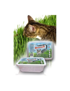 Alimentation Certech 10319