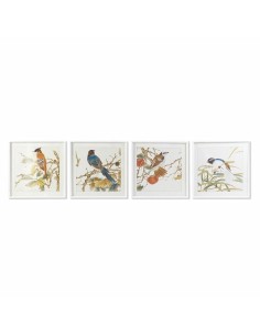 Cadre DKD Home Decor 60 x 2,5 x 60 cm Oiseau Shabby Chic (4 Pièces)