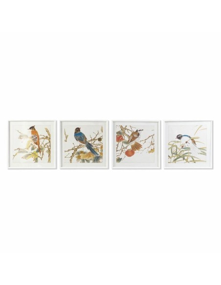 Cadre DKD Home Decor 60 x 2,5 x 60 cm Oiseau Shabby Chic (4 Pièces)