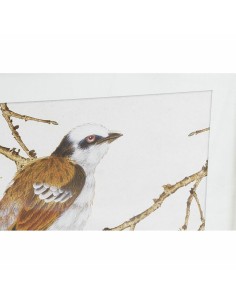 Cadre DKD Home Decor 60 x 2,5 x 60 cm Oiseau Shabby Chic (4 Pièces) 2