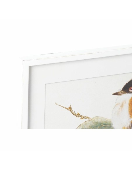 Cadre DKD Home Decor 60 x 2,5 x 60 cm Oiseau Shabby Chic (4 Pièces)