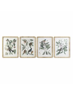 Cadre DKD Home Decor 50 x 2,5 x 65 cm Shabby Chic Plantes botaniques (4 Pièces)