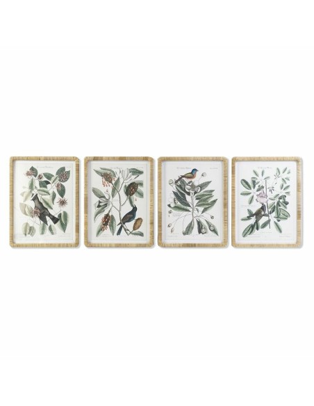 Cadre DKD Home Decor 50 x 2,5 x 65 cm Shabby Chic Plantes botaniques (4 Pièces)