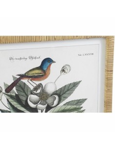 Cadre DKD Home Decor 50 x 2,5 x 65 cm Shabby Chic Plantes botaniques (4 Pièces) 2
