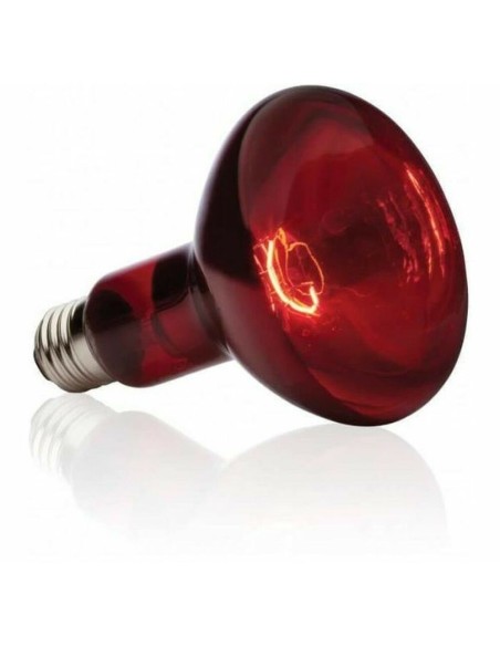 Lampe Exo Terra Basking Spot Infrarouges 75 W