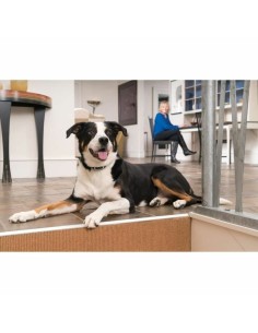 Collier anti-aboiement PetSafe Bleu 2