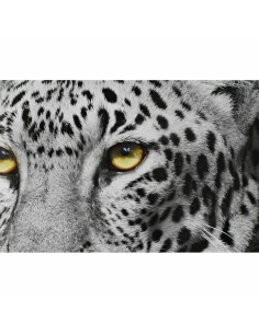 Cadre DKD Home Decor 67 x 3 x 93 cm Colonial Jungle (3 Pièces) 2