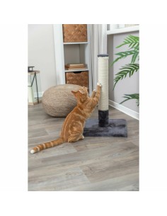Grattoir pour Chats Trixie 2