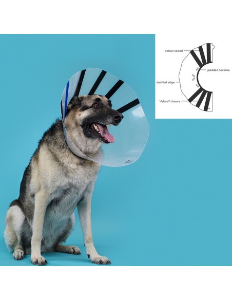 Collier de protection Isabelino pour chiens KVP EZ Clear (32-39 cm)