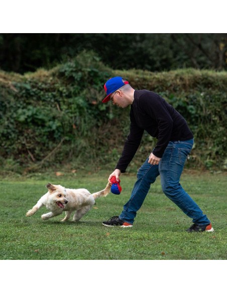 Jouet pour chien Spider-Man Rouge
