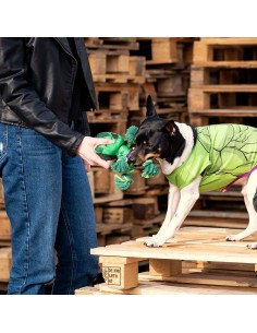 Jouet pour chien The Avengers   Vert 100 % polyester 2