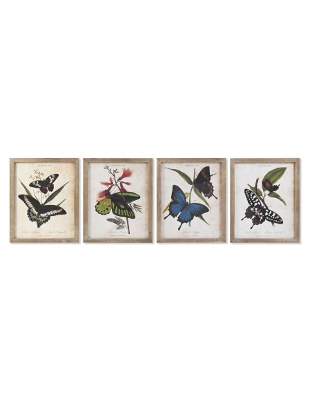 Cadre DKD Home Decor Papillons 40 x 2 x 50 cm Shabby Chic (4 Pièces)