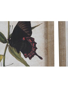 Cadre DKD Home Decor Papillons 40 x 2 x 50 cm Shabby Chic (4 Pièces) 2
