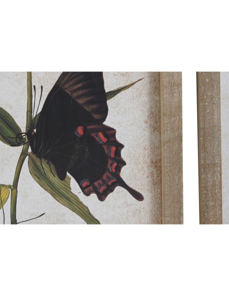 Cadre DKD Home Decor Papillons 40 x 2 x 50 cm Shabby Chic (4 Pièces)
