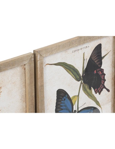 Cadre DKD Home Decor Papillons 40 x 2 x 50 cm Shabby Chic (4 Pièces)
