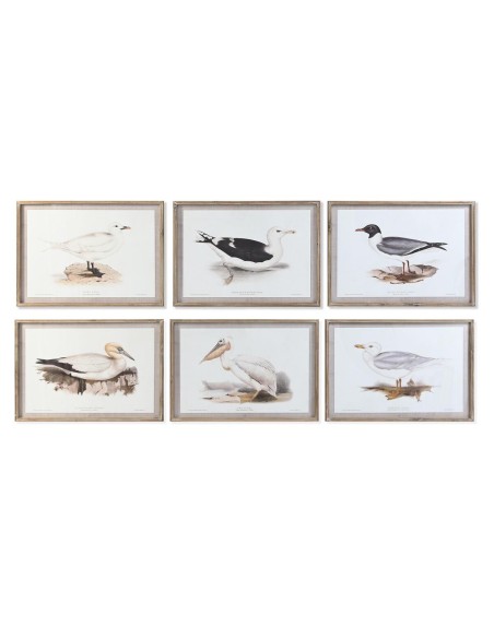 Cadre DKD Home Decor 70 x 2,5 x 50 cm Traditionnel Oiseaux (6 Pièces)