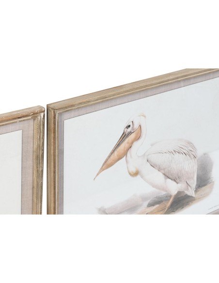 Cadre DKD Home Decor 70 x 2,5 x 50 cm Traditionnel Oiseaux (6 Pièces)
