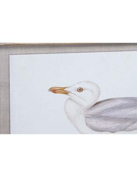 Cadre DKD Home Decor 70 x 2,5 x 50 cm Traditionnel Oiseaux (6 Pièces)