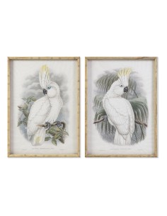Cadre DKD Home Decor 50 x 2,8 x 70 cm Colonial Perroquet (2 Unités)