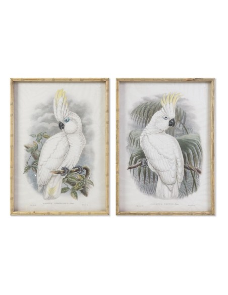 Cadre DKD Home Decor 50 x 2,8 x 70 cm Colonial Perroquet (2 Unités)