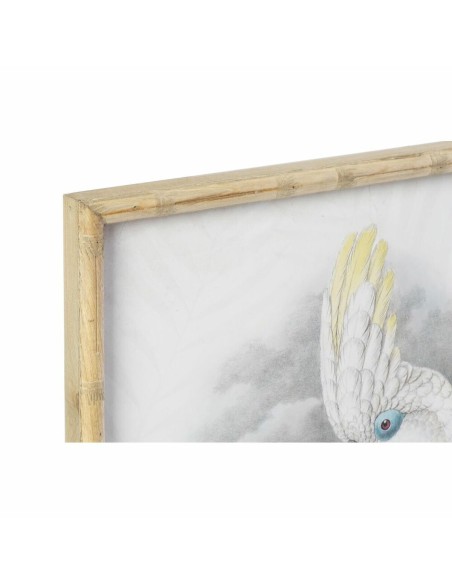Cadre DKD Home Decor 50 x 2,8 x 70 cm Colonial Perroquet (2 Unités)