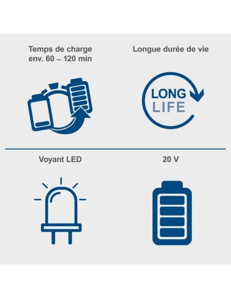 Batterie au lithium rechargeable Scheppach SBP4.0