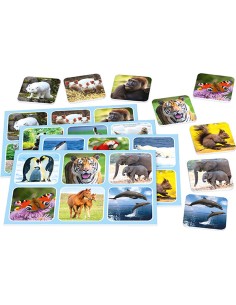 Jeu de société Schmidt Spiele Zoo Lotto animaux 2