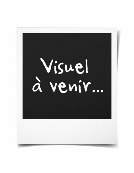 Compresseur d'air Michelin 9522 120 W 6,9 bar