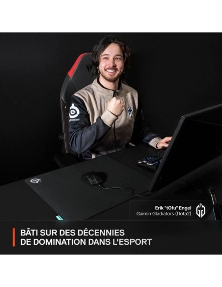 Tapis de Souris SteelSeries QcK Performance XL - Balance Noir
