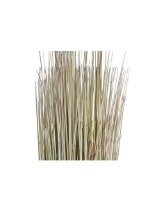 Plante décorative DKD Home Decor 25 x 25 x 68 cm Marron Polyéthylène Vert (2 Unités) 2