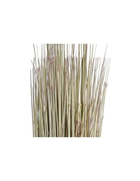 Plante décorative DKD Home Decor 25 x 25 x 68 cm Marron Polyéthylène Vert (2 Unités)