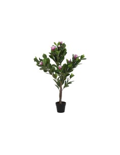 Plante décorative DKD Home Decor Rose Vert PE (60 x 60 x 125 cm)