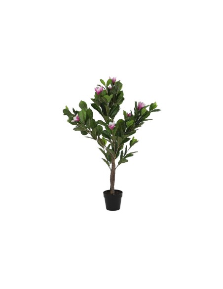 Plante décorative DKD Home Decor Rose Vert PE (60 x 60 x 125 cm)
