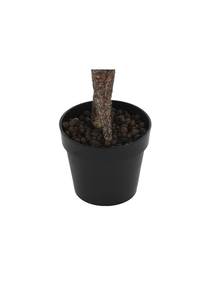 Plante décorative DKD Home Decor Rose Vert PE (60 x 60 x 125 cm)