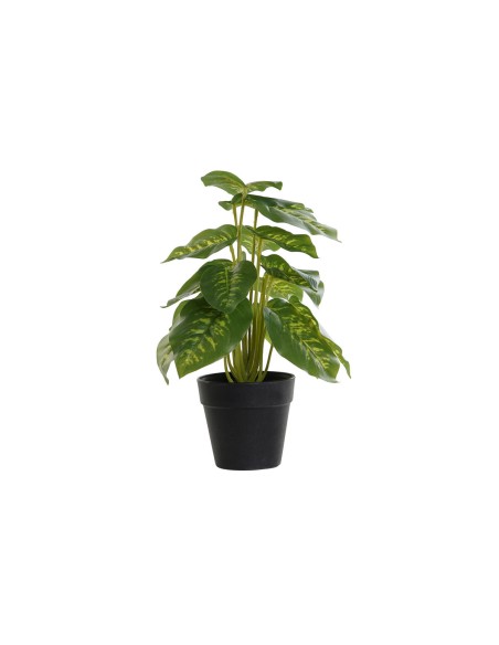 Plante décorative DKD Home Decor PVC polypropylène 20 x 20 x 30 cm